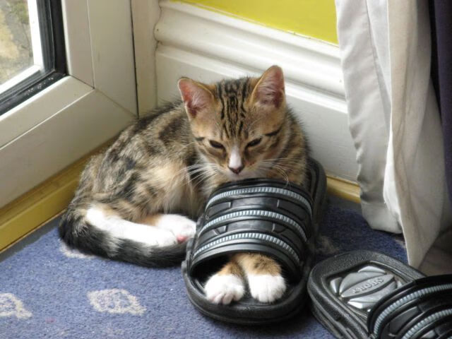 _三维虚拟体育体验馆:沉浸运动新方式_,三维体育官网